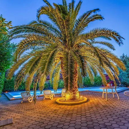 Stunning In 梅杜林